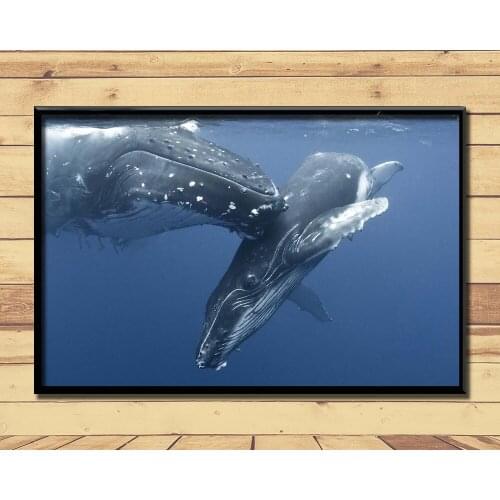 Humpback Whale Ferocious Giant Marine Animal (11) Wall Posters Prints Silk Art Painting For Home Wall Bedroom Decor