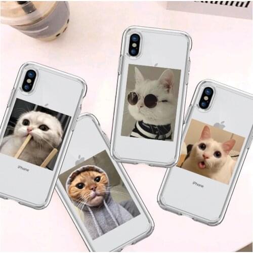 Cute Animal Fundas Shell Fashion Back Cover Gift phone Case For iPhone 11 12 Pro XS MAX XR X 7 8 6Plus SE Phone Cove