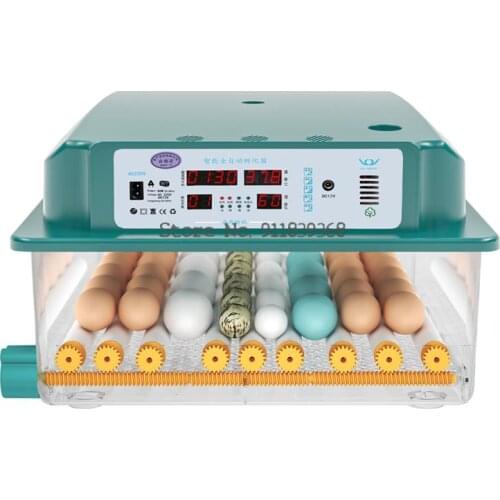 Hatching Incubator For Chickens Childrens Mini Automatic Home Egg Incubator Egg Bird Egg Parrot Incubator