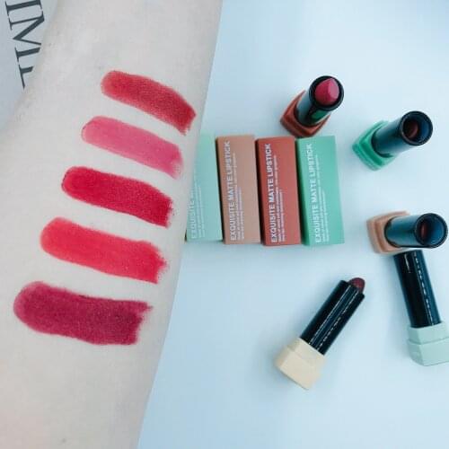 Factory Wholesale Delicate Package Easy Carry Convenient Makeup High Waterproof Long Lasting 5 Colors Lipstick Suit