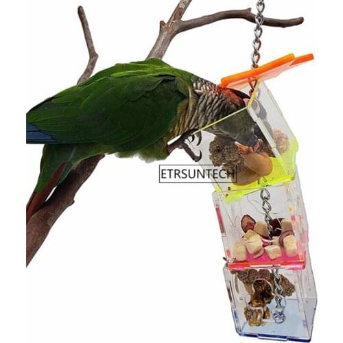50pcs Cute Pet Bird Parrot Feeder Cage Fruit Vegetable Holder Cage Accessories Hanging Basket Container Toys Pet Bird Supplies