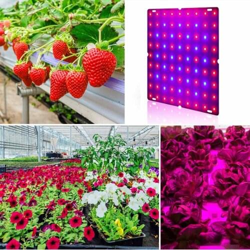 LED Grow Light 81/169 LEDs Indoor Plant Grow Lamp Red Blue Full Spectrum LED Plant Growth Lamp For Indoor Hydroponic Plant