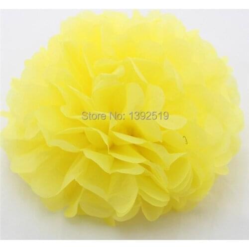 Free Shipping 100pcs 10inch 20 Colors Wedding Party Birthday Baby Shower Decoration Flowers 25cm Tissue Pom Poms