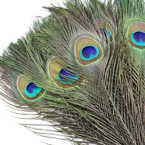 Big Eye Natural Peacock Feathers 20 PCS Pheasant Plumes For DIY Crafts Party Home Decoration Craft Plumes