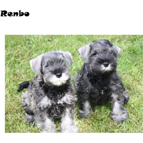 Full square display diamond painting volledig,animal cross sitch,Diamond Embroidery sale,5d Diamond Mosaic Schnauzer Dog