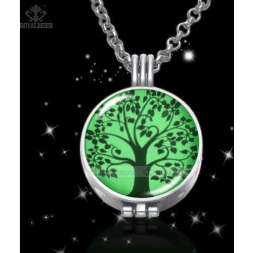 ROYALBEIER Mixed Perfume Luminous Stainless Steel Aromatherapy Pendant Women Essential Oil Diffuser Glow In the Dark Necklace