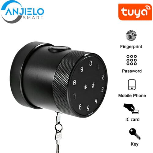 Smart Keyless electronic Knob door locks smart BLE APP fingerprint digital door lock TUYA smart lock