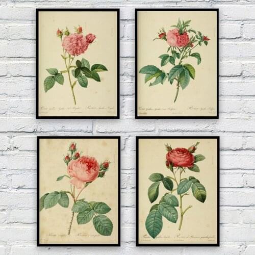 Antique Botanical Canvas Art Posters Prints Vintage Flowers Rose Wall Painting Pictures for Living Room Home Office Decor A3 A4