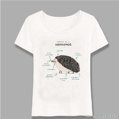 Anatomy Of A Hedgehog Print T-Shirt 2019 New Summer Novelty Women t-shirt Simple Style Maiden Tops Fashion Ladies Tees Harajuku