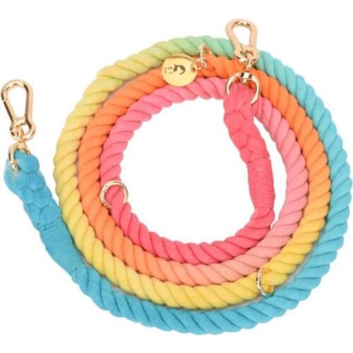Firm Long-lasting Universal Pet Training Leash Durable Pet Traction Rope Strong for Picnic
