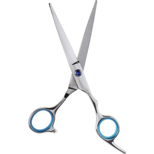 Polished Pro Salon Hairdressing Cutting Texturizing Grooming Styling Scissor