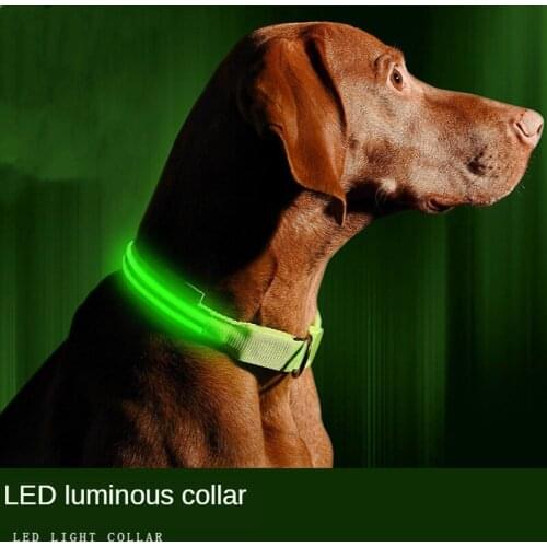 Medium-Large Dog Collars USB Charging Luminous Dog Collar Dog LED Collar Golden Retriever Doberman Labrador Dog Accessories