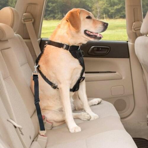Dog Seat Belt Pet Cat Car Seatbelt Safety Tether Adjustable Harness Leash Heavy Duty Nylon Universal Fit Vehicle Anti Shock Clip