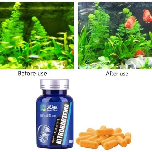 100Pcs/Bottle Aquarium Nitrifying Bacteria Concentrated Capsule Fish Tank Pond Cleaning Fresh Water