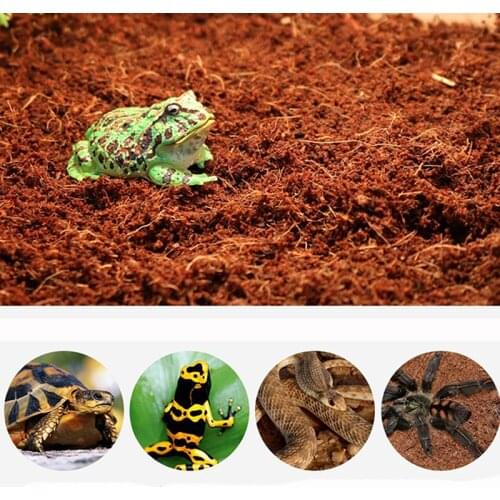 Natural Coconut Fiber Substrate Lizard Tortoise Reptile Bedding Soil Reptile Bottom Supplies Reptile Coconut Soil