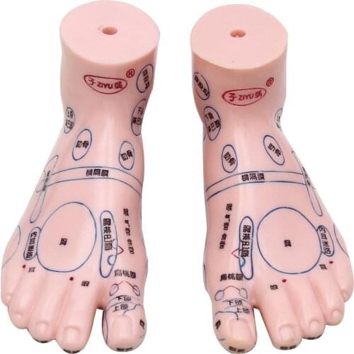 Reflex zone foot acupuncture point model acupuncture and Chinese medical specific model Sculpture PRO Teaching tools
