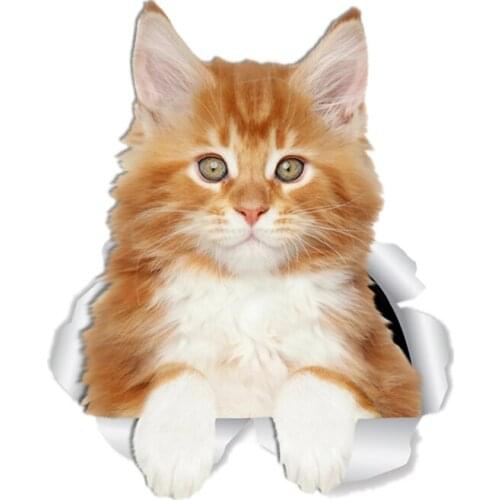 S41038# Various Sizes Funny Self-Adhesive Decal Cute Ginger Kitty Car Sticker Waterproof Auto Decors on Bumper Rear Window