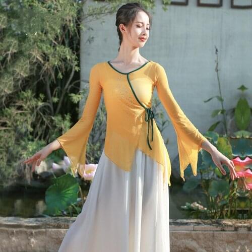 Rhinestone Flowy Shirt Women Long Sleeve Mesh Top For Chinese Folk Dance Classical Modern Dance Blouse Pipa Zither Performance
