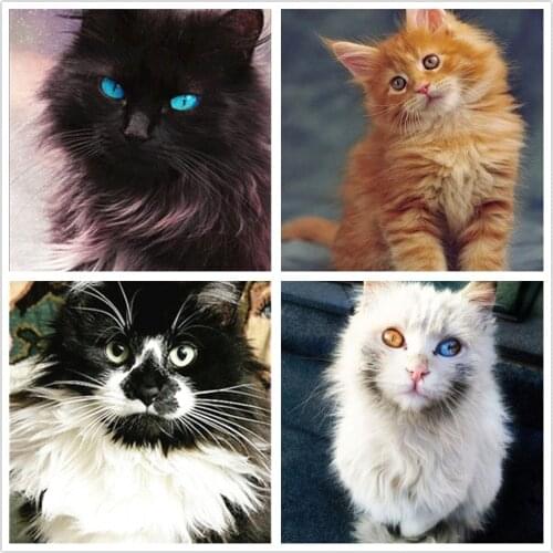 Jenkins 5D Diy Diamond Painting Cat Embroidery Sale Cross Stitch Animals Rhinestones Mosaic Kit Home Decoration New Handicrafts