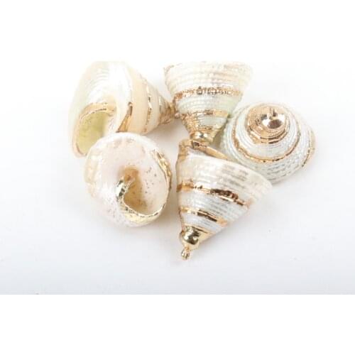Gold plating Aquarium Beach Nautical DIY conch Colorful Natural Seashells Decorations Scallop conch Crafts Decor Ornament 5Pcs