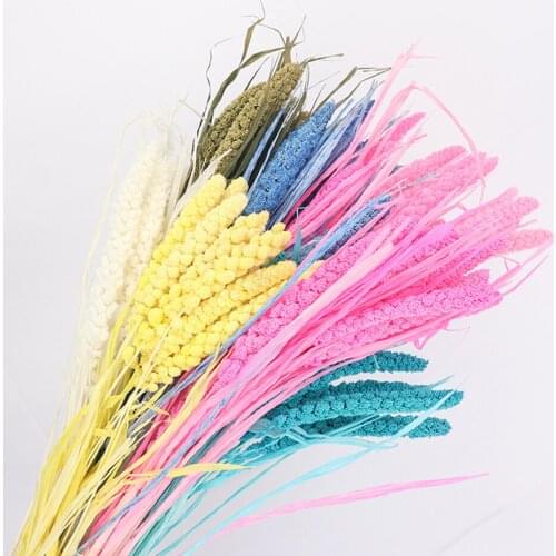 10 Pcs Natural Dried Fresh Flower Bundle Colorful Preserved Millet Flower Diy Flower Long Bunches Wedding Decoration