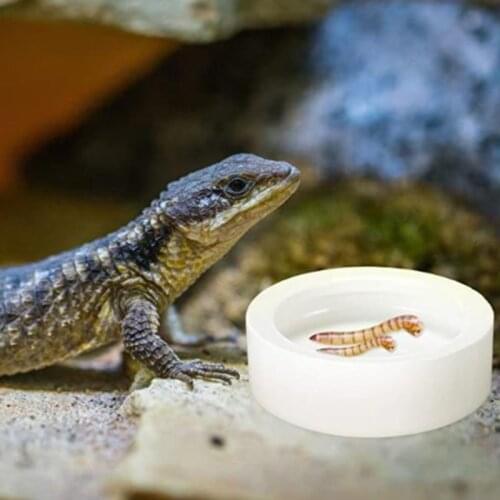 Worm Dish Reptile Food Water Bowl Gecko Ceramic Pet Feeding Mealworms Bowl for Bearded Dragon Hermit Crab Au18 21
