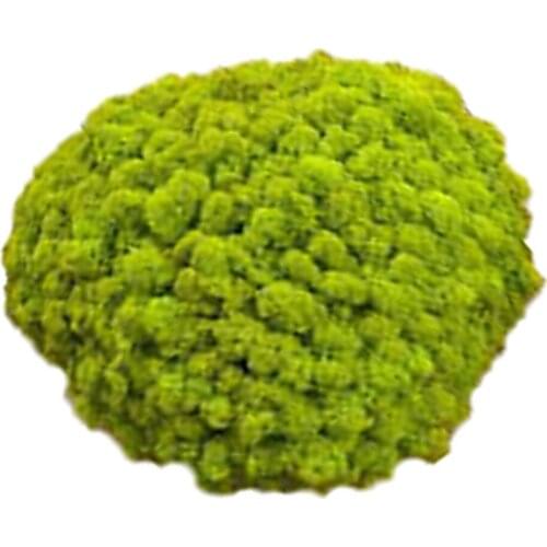 25g Artificial Garden Moss Fake Plant Home Wall Decor Garland Decors For Wedding