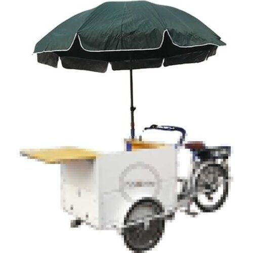 High Quality Food Bike Trike Delivery Cart Hot Dog Seller Tricycle Ice Cream Wooden Box Cooler with Freezer Water Sink