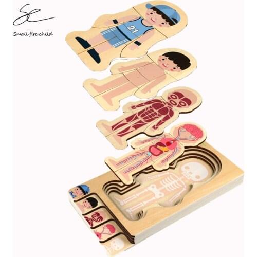 2020 New Montessori Wooden Boys Girls Body Structure Puzzle Cognitive Human Body Teaching Aids Educational Toys for Children