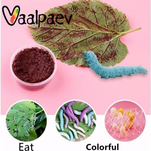 Dry Mulberry Leaf Colorful Food Feed For Silkworm Kids Biological Experiments School Education Toys Boys Girls Pets Home Garden
