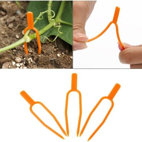 Hot Garden Tool 50pcs Plant Clips Stolons Fixture Clamp Farming Strawberry Fork