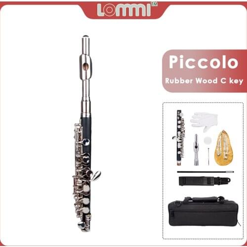 LOMMI Piccolo