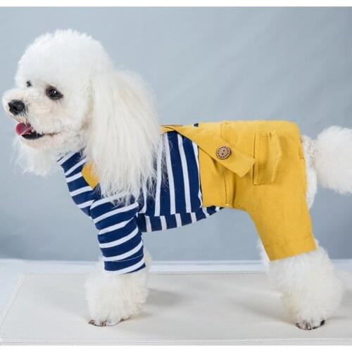 2021 Princess Dog Colorful Stripe Soft Suit Puppy Jumpsuit Spring Doggie Casual Pants Small Medium Pet Couple Four-Legged Coat