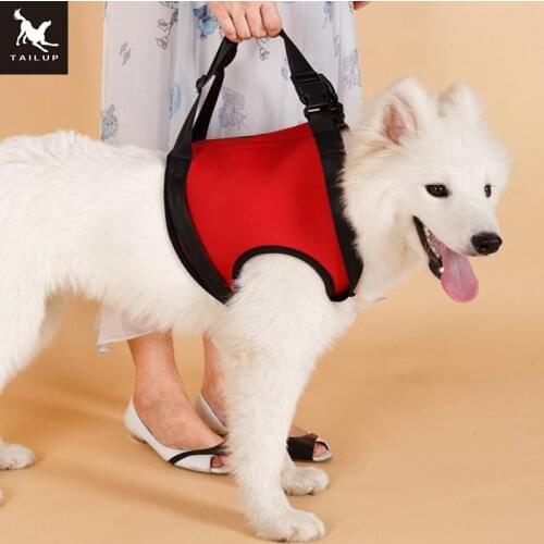 TAILUP Dog Lift Support Harness For Foreleg K9 Aid Lifting Elderly Weak Canine with handle for Injuries Arthritis
