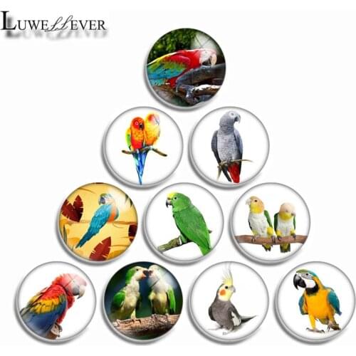 12mm 10mm 16mm 20mm 25mm 30mm 436 Cute Parrot Mix Round Glass Cabochon Jewelry Finding 18mm Snap Button Charm Bracelet