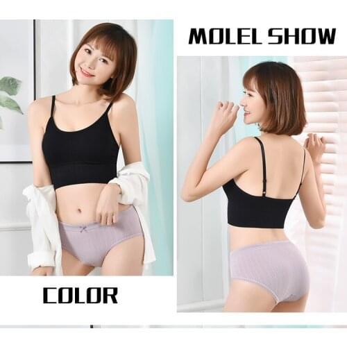 Blue Tail Lion Women Underwear