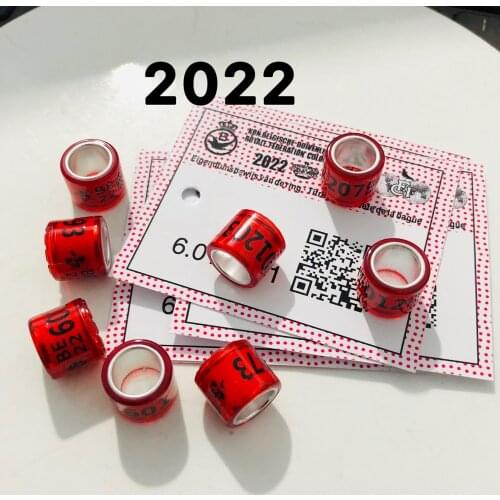 2021 BELG Pigeon Rings With Letters Cards Bird 8mm