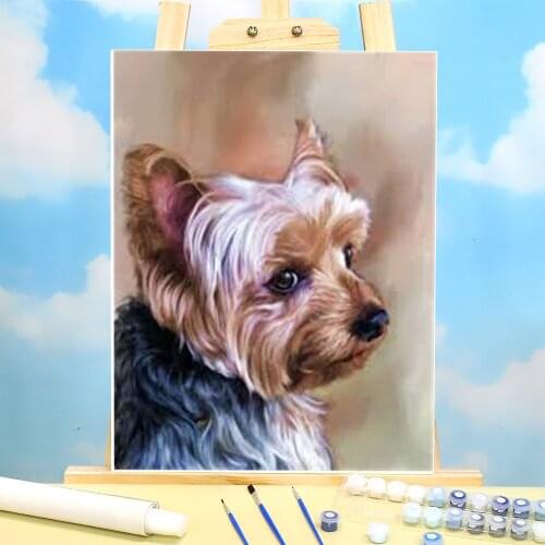 Animal Yorkshire Terrier Painting By Numbers Complete Kit Oil Paints 40*50 Canvas Pictures Decoration Crafts For Adults Art