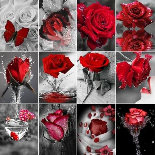 5D Diamond Painting Red Rose Flower Black and White Series Full Square Diamond Inlaid Embroidery Inlaid Home Decoration