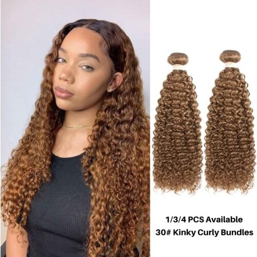 Sapphire Brazilian Kinky Curly Hair 1/3/4 Bundles Jerry Curly Hair Weaves 26Inch Natural Brown 30# Remy Human Hair Extensions
