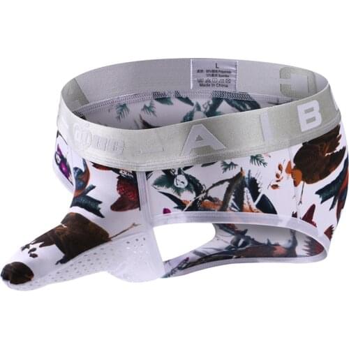 Brand Men Underwear Brief Gay Penis Sleeve Sexy Male Panties Underpants Cueca Boy Underpants Slip