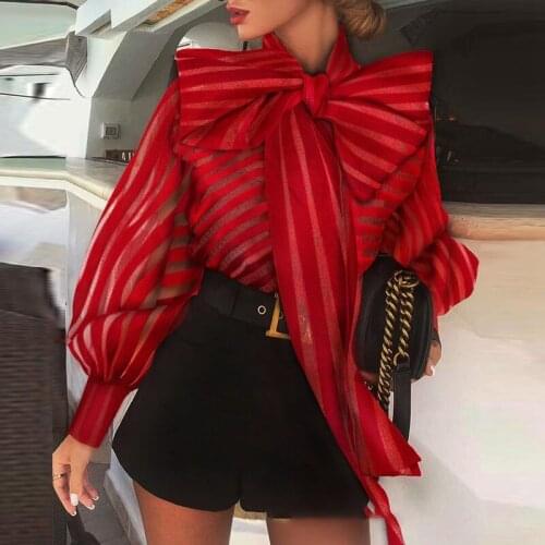 STYLISH LADY Women's Transparent Shirts