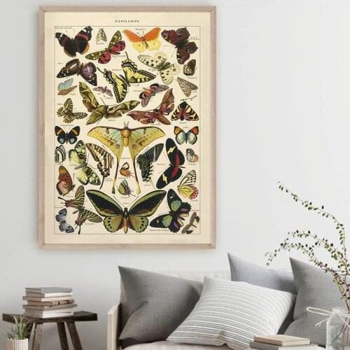 Butterfly Insect Vintage Poster Print Biology Education Wall Art Picture Modern Study Room Decoration Poster Kraft paper
