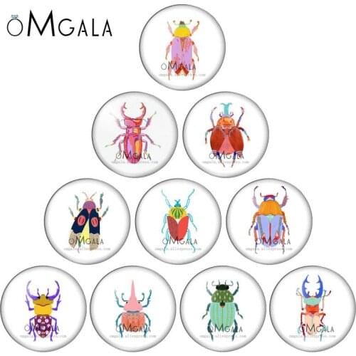 Beetles Insect Illustration Art Patterns 12mm/14mm/18mm/20mm/25mm Round photo demo glass cabochon flat back Making findings