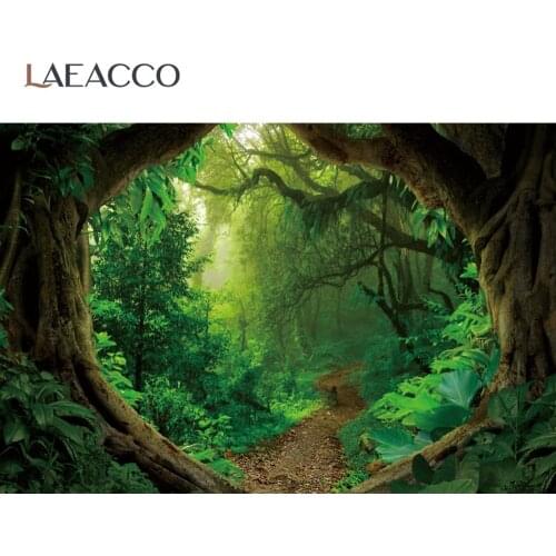 Forest Backgrounds For Photography Old Tree Green Moss Shrub Tropical Rain Forest Scenic Photographic Backdrop For Photo Studio