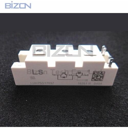 LUH75G1703Z LUH100G604