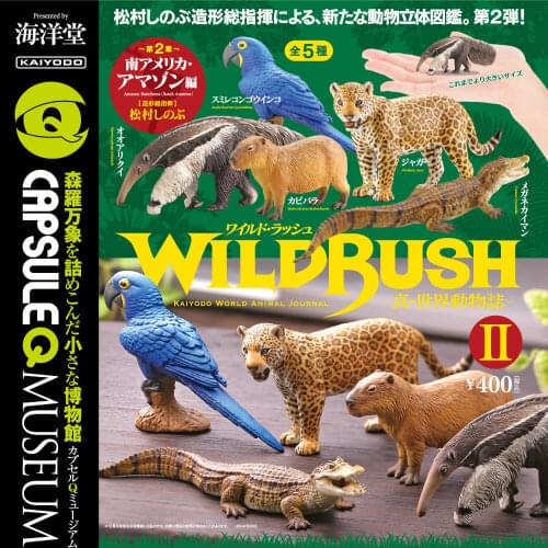 Japan Gashapon Capsule Toys Blind Box Capybara Crocodile Anteater Animal South America Series Wild Bush
