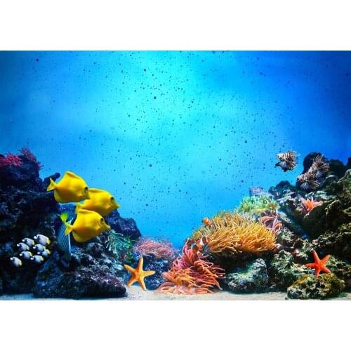 Cartoon children undersea world undersea Coral birthday photo background photo background