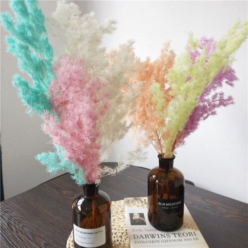 80g Preserved Fresh,Plant Real Nature Home Floral Table Decor Penglai Pine,DIY Spring Decoration Flower Wedding Mariage Gift