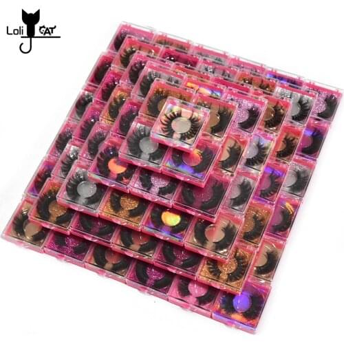 Loli Cat Eye Cosmetics